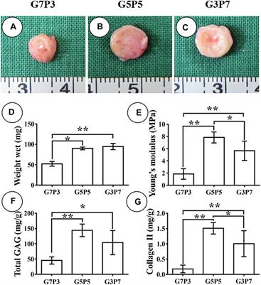 Regeneration of Subcutaneous Cartilage in a Swine Model Using Autologous Auricular Chondrocytes and Electrospun Nanofiber Membranes Under Conditions of Varying Gelatin/PCL Ratios